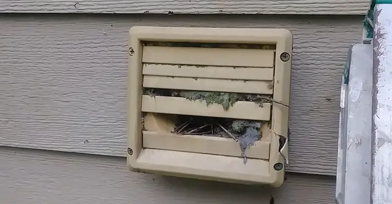 Clogged dryer vent on dryer exhaust opening