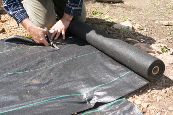 Cutting landscape fabric around plants