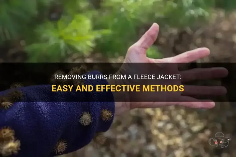 Freezer method for burr removal from fleece