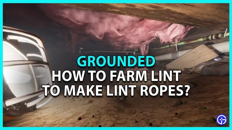 Harvesting lint from spider web