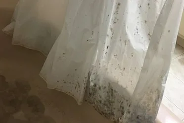 mold on fabric shower curtain close up