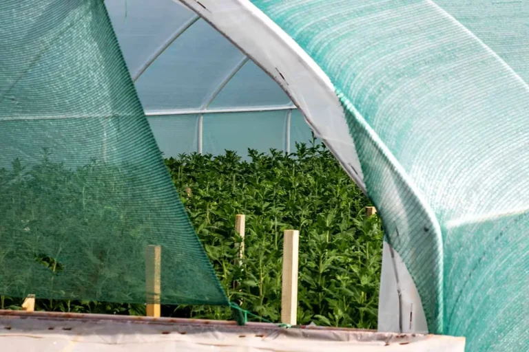 What percent shade cloth for greenhouse